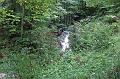 2011-08- (384)